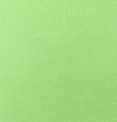 12872_01.jpg