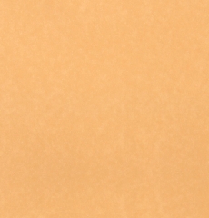 13514_01.jpg