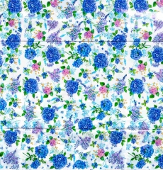 15746_01.jpg