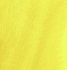 23879_01.jpg