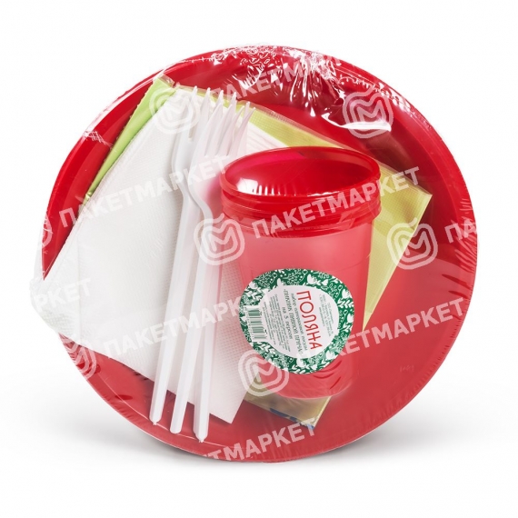 Набор одноразовой посуды ПИКНИК на 5 персон: стаканы, тарелки, вилки, салфетка